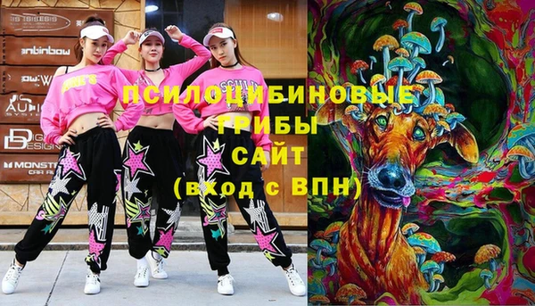 крисы Алзамай