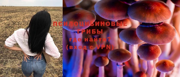 2c-b Алексеевка