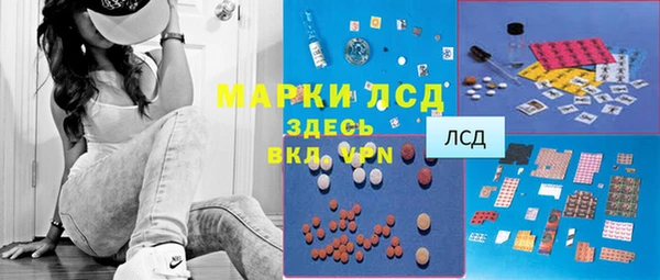 крисы Алзамай