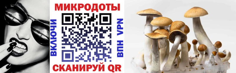 гидра ТОР  Пущино  Галлюциногенные грибы MAGIC MUSHROOMS 